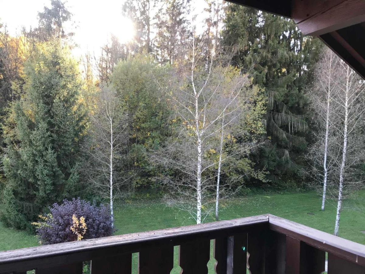 Mansarde Avec Balcon, Piscine Et Parking Souterrain A - Fr-1-629-92 Apartment Samoens